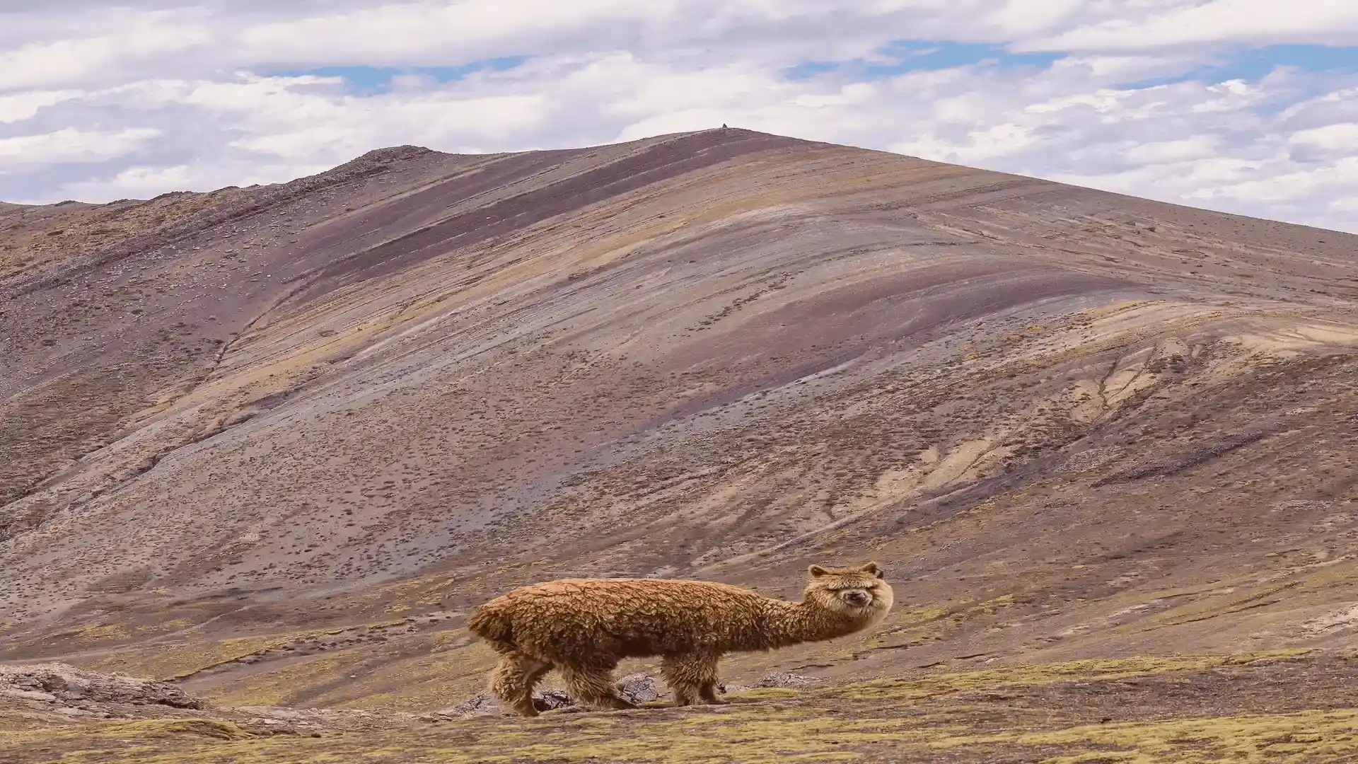 Palccoyo Rainbow Mountain Alternative Tour Cusco Peru