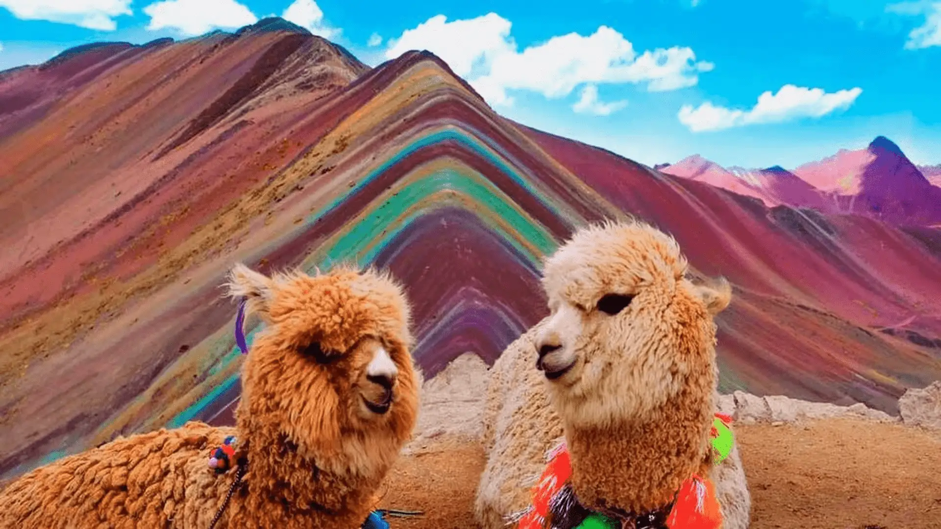 Rainbow Mountain Vinicunca Tour from Cusco Peru